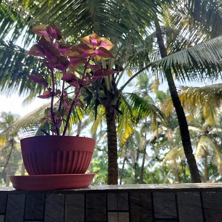 Kumbaya Beachside Hostel & Apartments At Arambol Beach Esterno foto