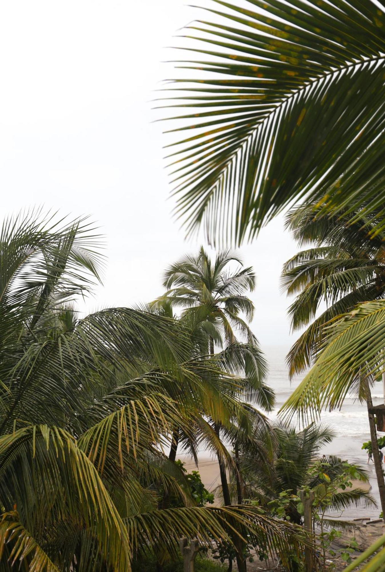 Kumbaya Beachside Hostel & Apartments At Arambol Beach Esterno foto